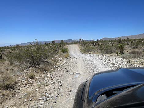 Cottonwood Valley Road