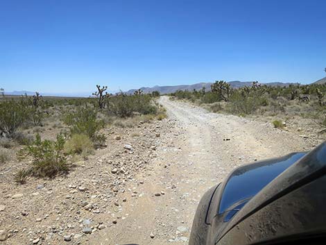 Cottonwood Valley Road