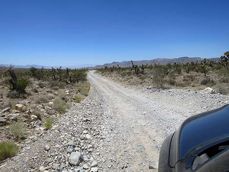 Cottonwood Valley Road