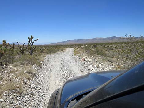 Cottonwood Valley Road