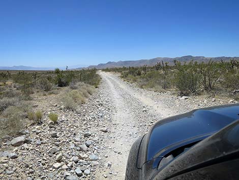 Cottonwood Valley Road