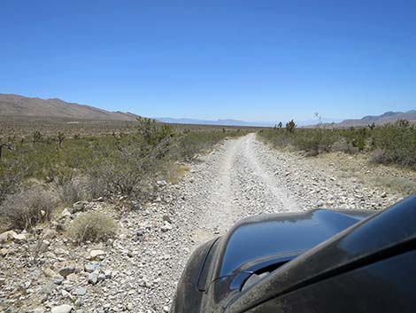 Cottonwood Valley Road
