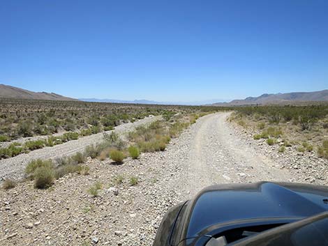 Cottonwood Valley Road