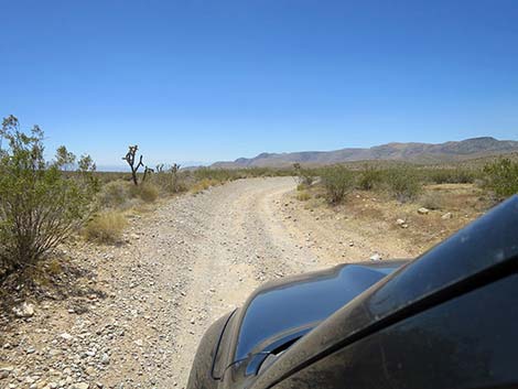 Cottonwood Valley Road