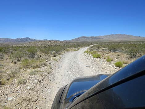Cottonwood Valley Road