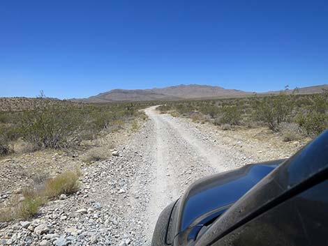 Cottonwood Valley Road