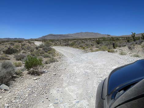 Cottonwood Valley Road