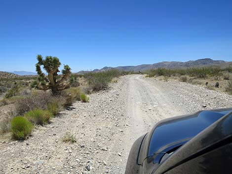 Cottonwood Valley Road
