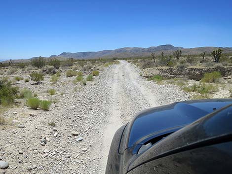 Cottonwood Valley Road