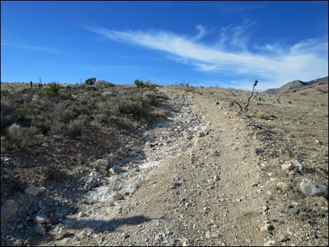 Ninetynine Mine Road