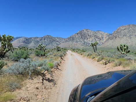 Lone Grapevine Road