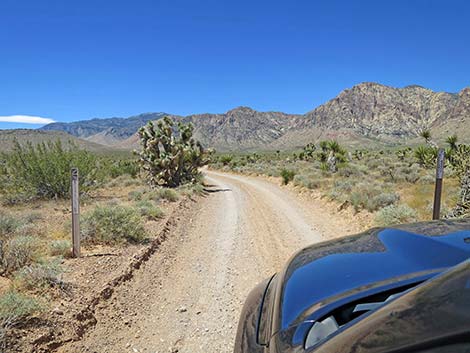 Lone Grapevine Road