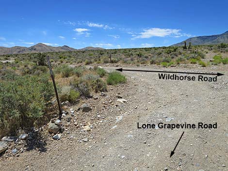 Lone Grapevine Road