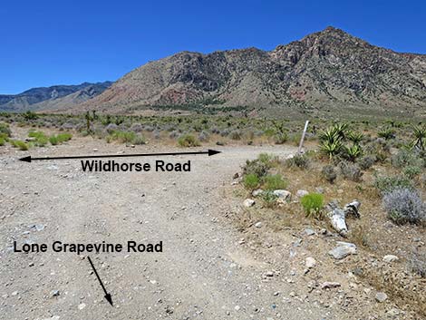 Lone Grapevine Road