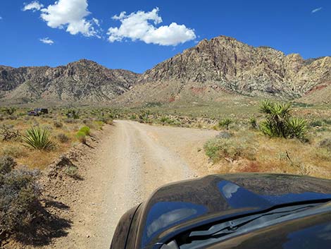 Lone Grapevine Road