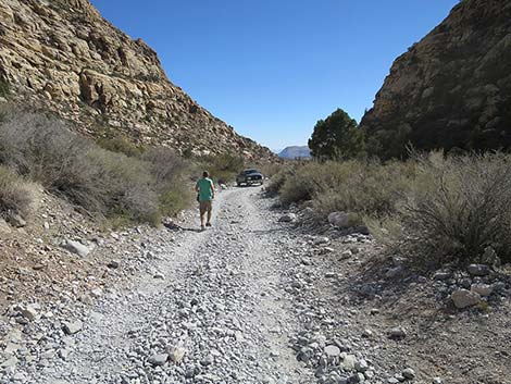 White Rock Loop Trail