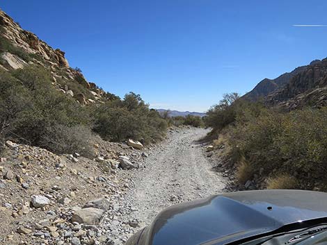 White Rock Loop Trail