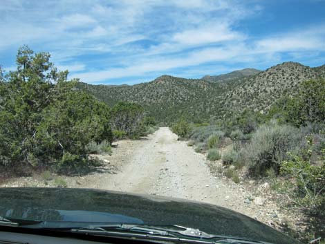 Rocky Gap Road