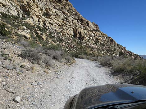 White Rock Loop Trail