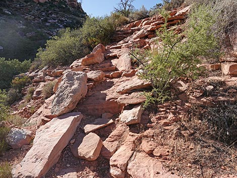 SMYC Trail