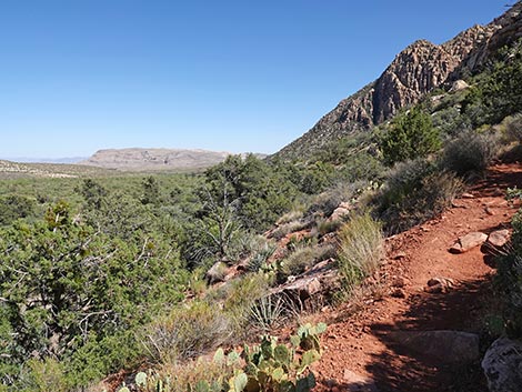 SMYC Trail
