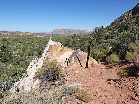 SMYC Trail