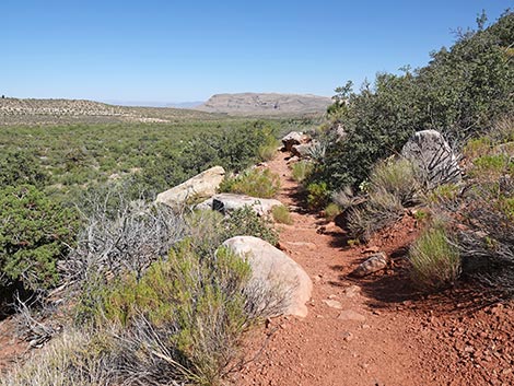 SMYC Trail