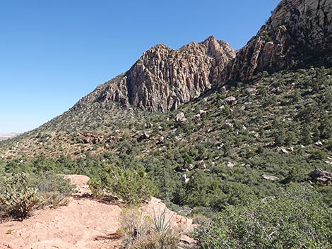 SMYC Trail