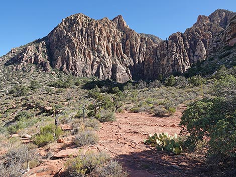 SMYC Trail