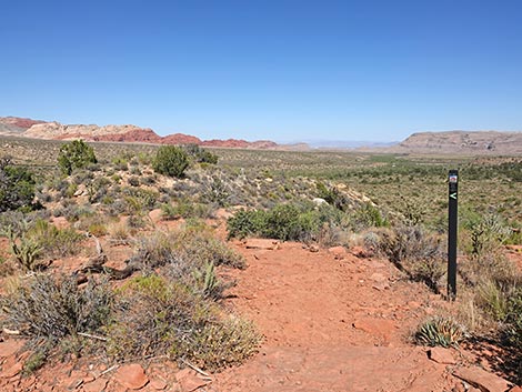SMYC Trail
