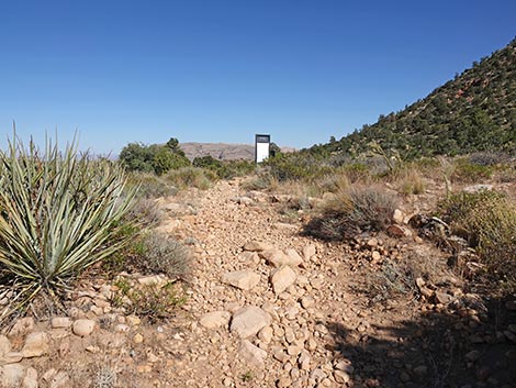 SMYC Trail