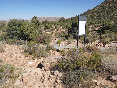 SMYC Trail