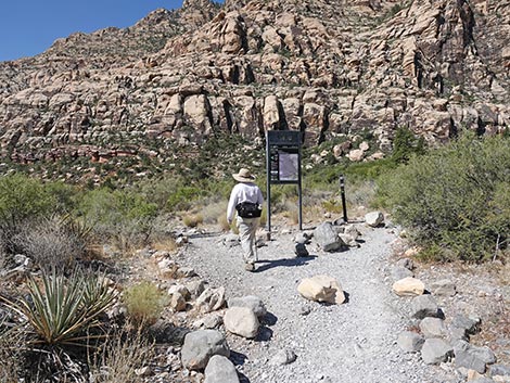SMYC Trail