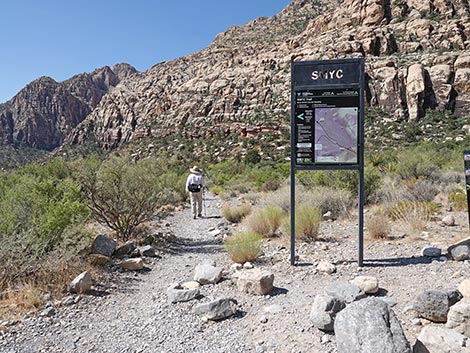 SMYC Trail