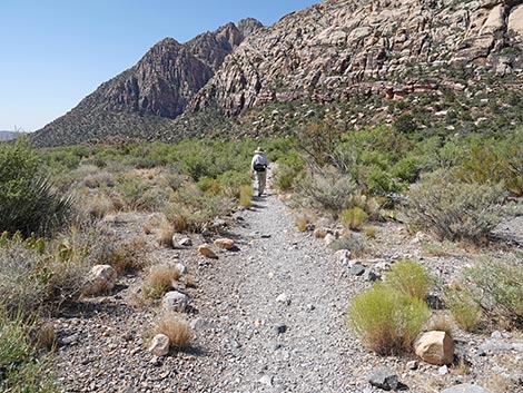 SMYC Trail