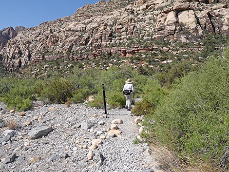 SMYC Trail