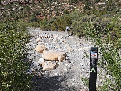 SMYC Trail