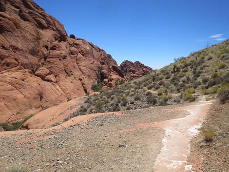 Calico Hills Trail - Sandstone Quarry to Calico 1