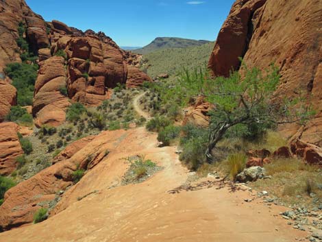 Calico Hills Trail - Sandstone Quarry to Calico 1