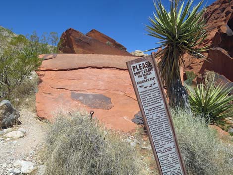 Calico Hills Trail - Sandstone Quarry to Calico 1