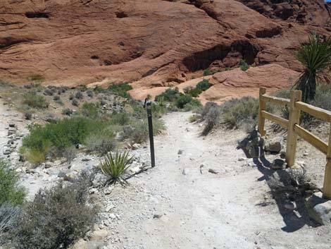 Calico Hills Trail - Sandstone Quarry to Calico 1