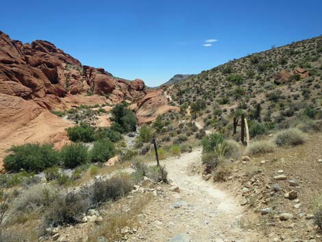 Calico Hills Trail - Sandstone Quarry to Calico 1