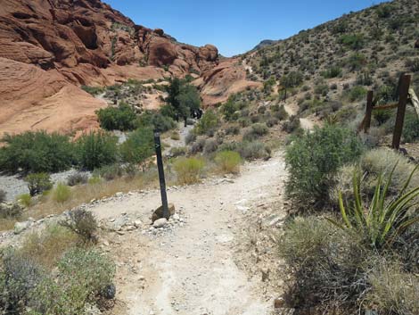 Calico Hills Trail - Sandstone Quarry to Calico 1