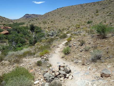 Calico Hills Trail - Sandstone Quarry to Calico 1