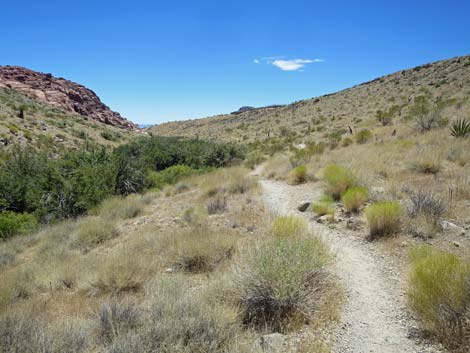 Calico Hills Trail - Sandstone Quarry to Calico 1