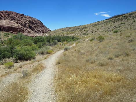 Calico Hills Trail - Sandstone Quarry to Calico 1