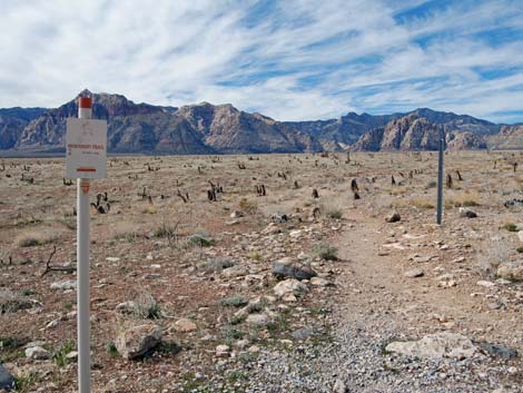 Calico 1 Trailhead