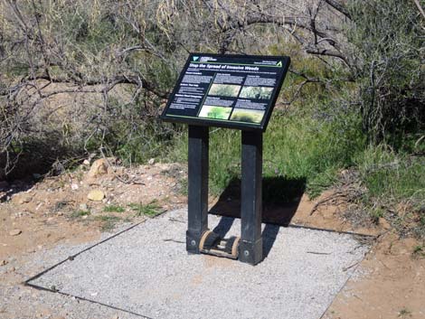 First Creek Trailhead