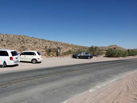 Genes Trailhead