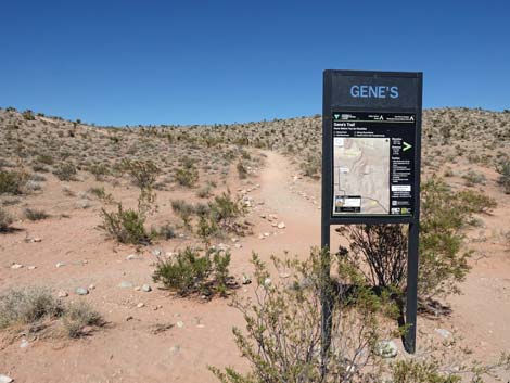 Genes Trailhead